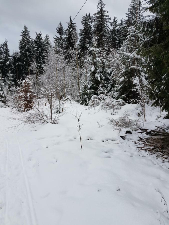 Rosalie - Lake - Hiking&Swimming - Cozy&Nature Winterberg Dış mekan fotoğraf